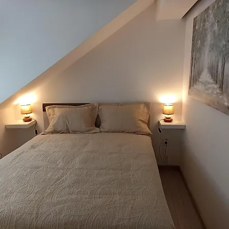 Bis Apartment Belgrade