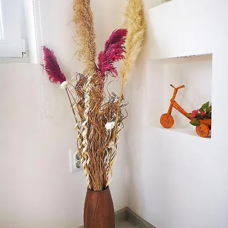 Apartment Bis